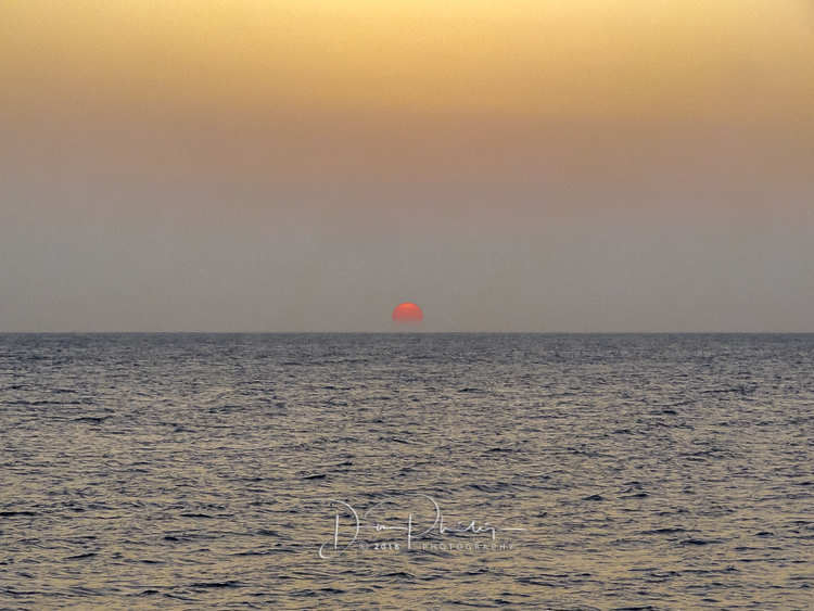 384 Galapagos 20180421-IMG_0890