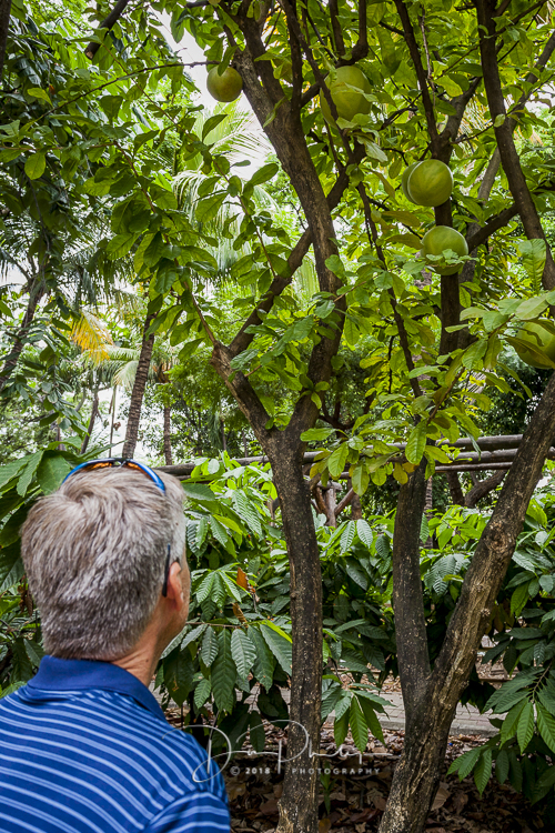 073 Guayaquil 20180617-_MG_0289