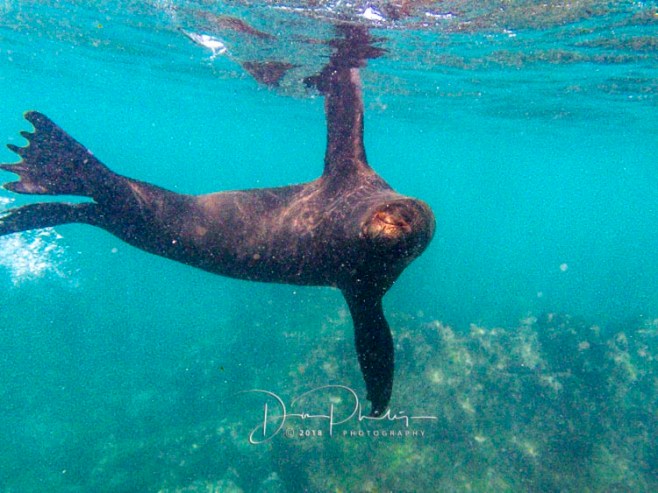 236 Galapagos 2018 20180420-IMG_9786