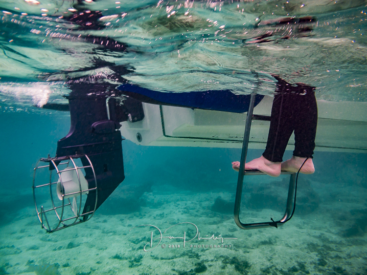 917 Galapagos 20180623-IMG_5955