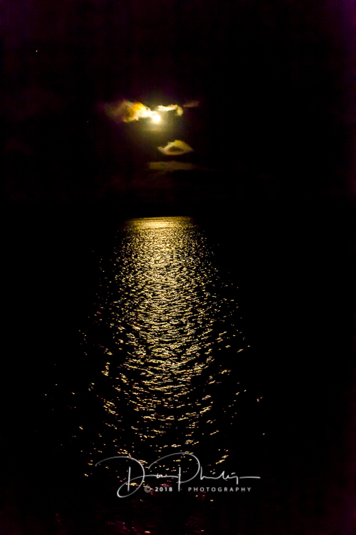 1000 Day 9 Galapagos 2018 20180625-_MG_2538