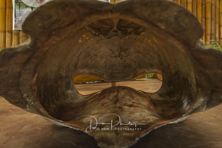 127 Galapagos 2018 20180618-_MG_0636