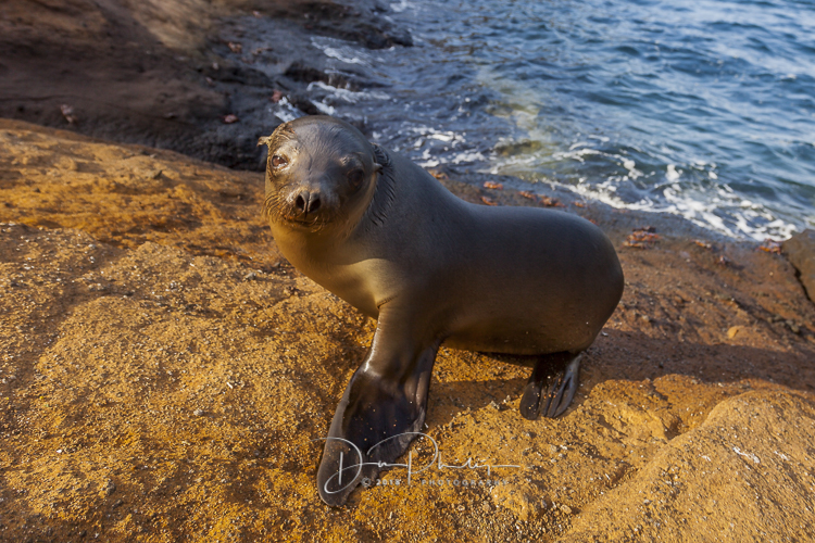 160 Guayaquil 20180621-_MG_1398