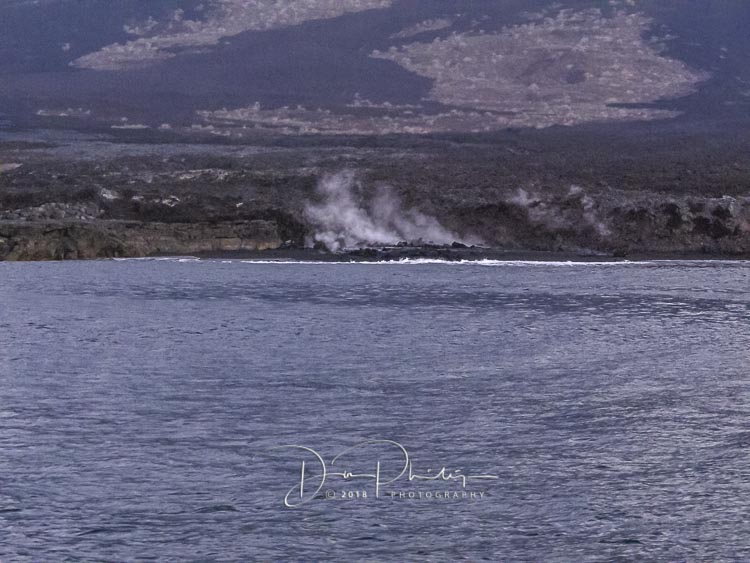 273 Galapagos 2018 20180420-IMG_0338