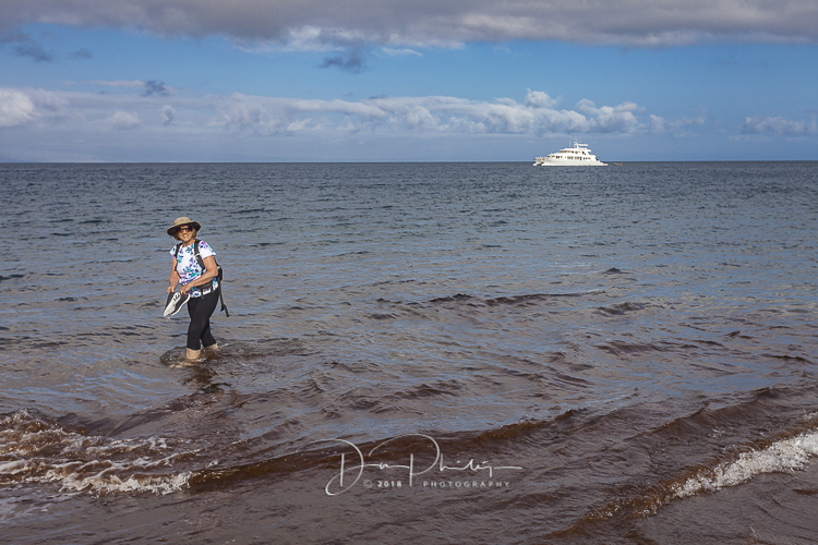 704 Galapagos 20180622-_MG_1689