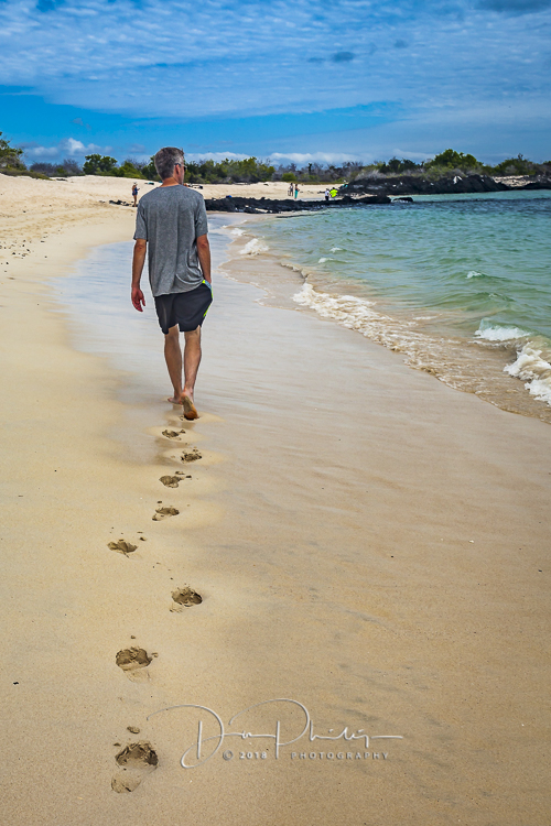 925 Day 9 Galapagos 2018 20180624-_MG_2364